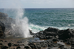 151006 Hawaii 2015 - Photo 0250