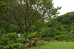 151006 Hawaii 2015 - Photo 0269