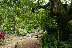 151006 Hawaii 2015 - Photo 0270