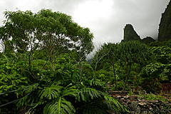 151006 Hawaii 2015 - Photo 0272