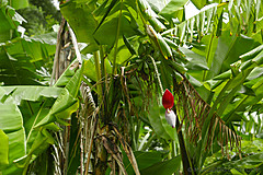 151006 Hawaii 2015 - Photo 0273