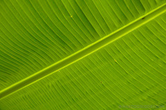 151006 Hawaii 2015 - Photo 0274