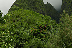 151006 Hawaii 2015 - Photo 0275