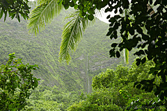 151006 Hawaii 2015 - Photo 0278