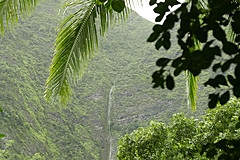 151006 Hawaii 2015 - Photo 0279