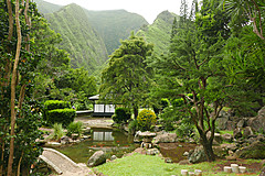 151006 Hawaii 2015 - Photo 0291