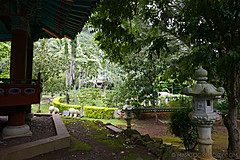 151006 Hawaii 2015 - Photo 0300