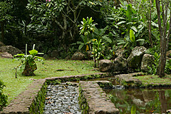 151006 Hawaii 2015 - Photo 0304
