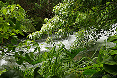 151006 Hawaii 2015 - Photo 0305