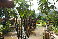 151006 Hawaii 2015 - Photo 0307