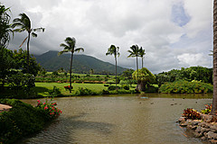 151006 Hawaii 2015 - Photo 0308