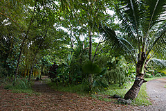 151006 Hawaii 2015 - Photo 0333
