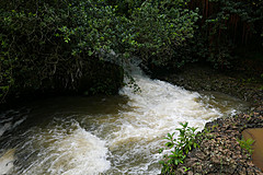 151006 Hawaii 2015 - Photo 0335