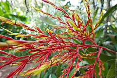 151006 Hawaii 2015 - Photo 0339
