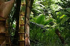 151006 Hawaii 2015 - Photo 0342