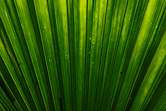 151006 Hawaii 2015 - Photo 0344