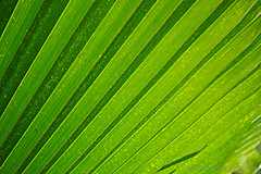 151006 Hawaii 2015 - Photo 0345