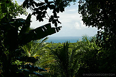 151006 Hawaii 2015 - Photo 0350