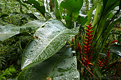 151006 Hawaii 2015 - Photo 0357