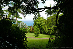 151006 Hawaii 2015 - Photo 0365