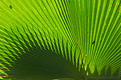 151006 Hawaii 2015 - Photo 0366