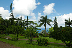 151006 Hawaii 2015 - Photo 0369