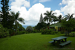 151006 Hawaii 2015 - Photo 0371