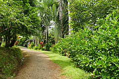 151006 Hawaii 2015 - Photo 0379