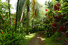 151006 Hawaii 2015 - Photo 0380