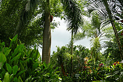 151006 Hawaii 2015 - Photo 0381