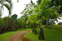 151006 Hawaii 2015 - Photo 0382