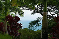151006 Hawaii 2015 - Photo 0384