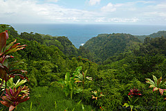 151006 Hawaii 2015 - Photo 0389