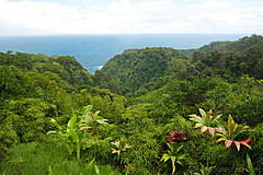 151006 Hawaii 2015 - Photo 0390