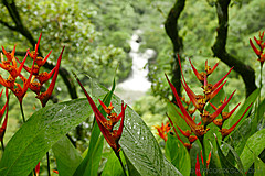 151006 Hawaii 2015 - Photo 0393