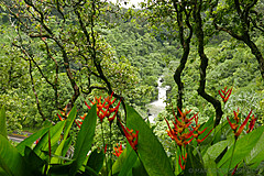 151006 Hawaii 2015 - Photo 0394