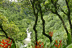 151006 Hawaii 2015 - Photo 0395