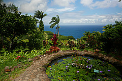 151006 Hawaii 2015 - Photo 0398