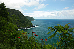 151006 Hawaii 2015 - Photo 0404