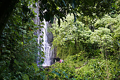 151006 Hawaii 2015 - Photo 0411