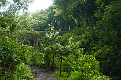 151006 Hawaii 2015 - Photo 0412