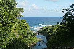 151006 Hawaii 2015 - Photo 0416