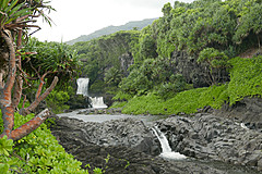 151006 Hawaii 2015 - Photo 0419