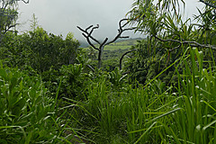 151006 Hawaii 2015 - Photo 0426