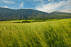 151006 Hawaii 2015 - Photo 0433