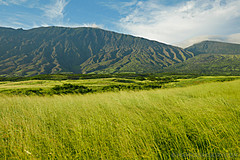 151006 Hawaii 2015 - Photo 0434