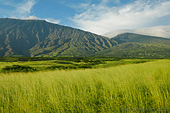 151006 Hawaii 2015 - Photo 0436