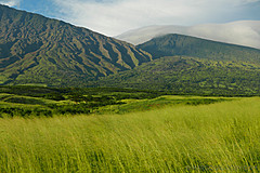 151006 Hawaii 2015 - Photo 0437