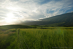 151006 Hawaii 2015 - Photo 0438