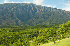 151006 Hawaii 2015 - Photo 0441